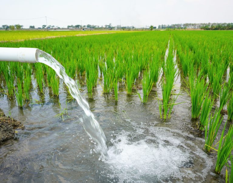 How Earth loses 324 billion cubic meters of freshwater yearly