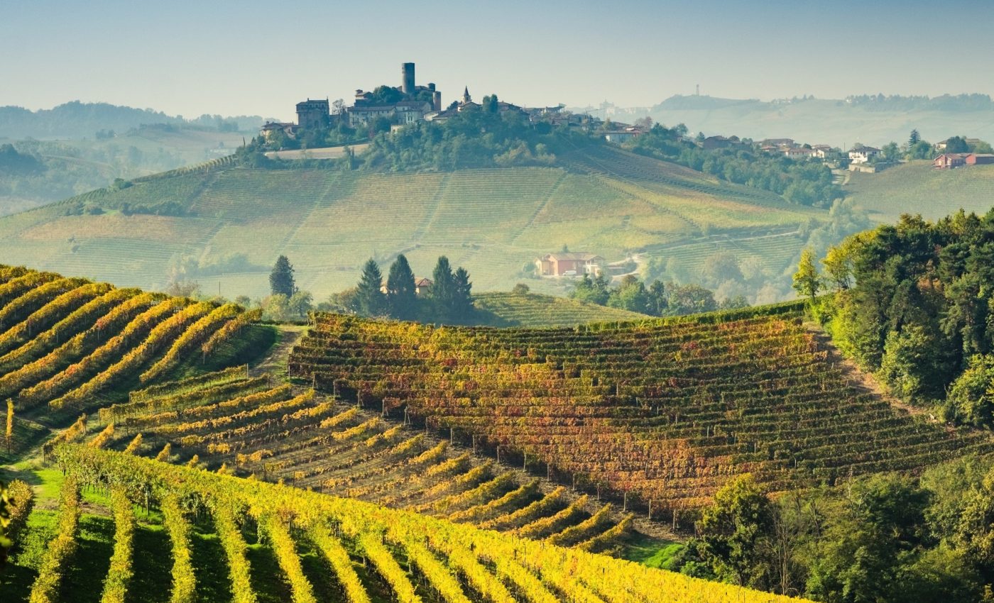 Ancient winemakers used a surprising ingredient, and it wasn’t grapes