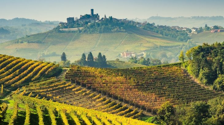 Ancient winemakers used a surprising ingredient, and it wasn’t grapes