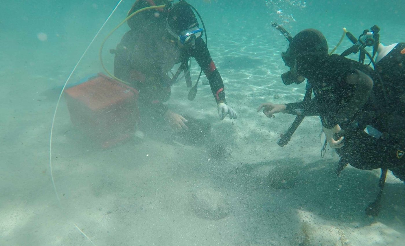 Diver discovers one of the greatest treasures of the Roman Empire