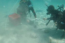 2025/11/diver-discovers-roman-empire-treasure.jpg