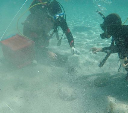 2025/11/diver-discovers-roman-empire-treasure.jpg