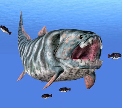 2025/11/Dunkleosteus-terrelli.jpg