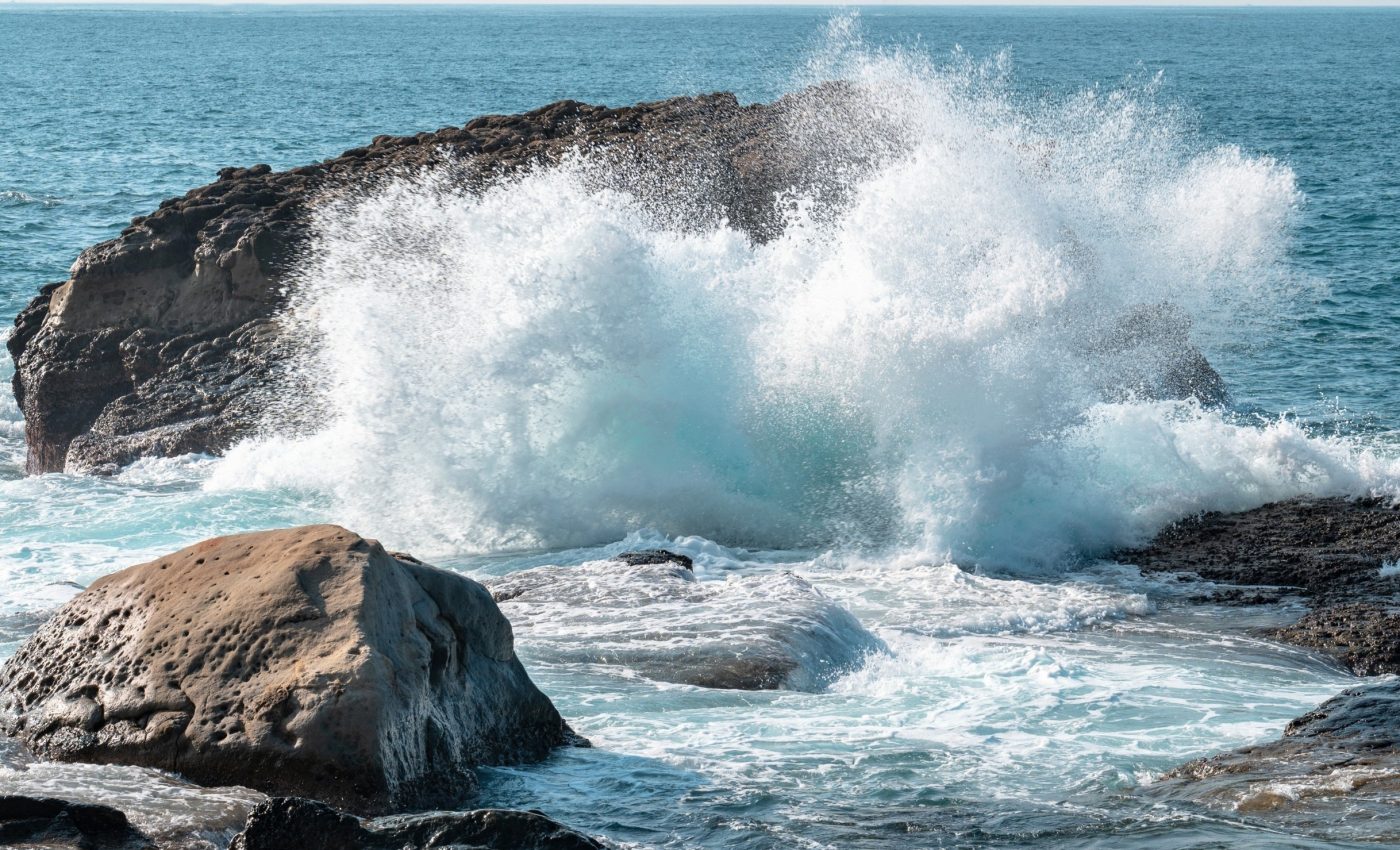 Microplastics are spreading superbugs from sewage to the sea