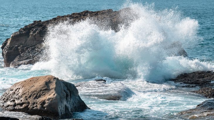 Microplastics are spreading superbugs from sewage to the sea
