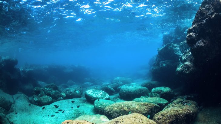 How the ocean locks away carbon for millions of years
