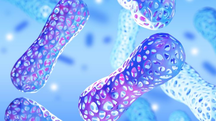 Everyday chemicals are harming gut bacteria that keep us healthy