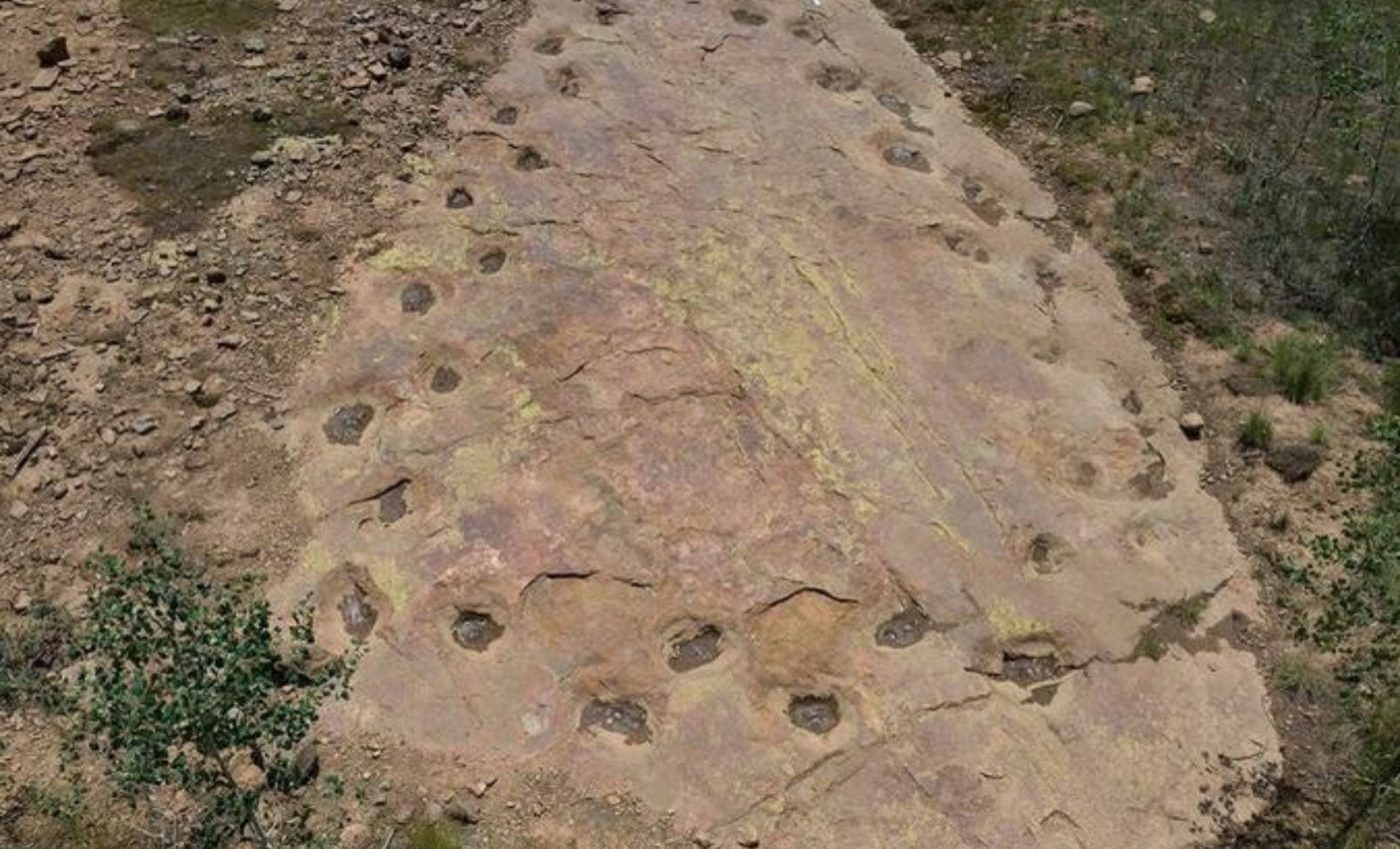 Dinosaur may have walked with a limp 150 million years ago