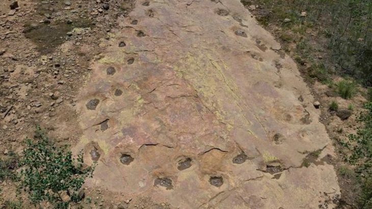 Dinosaur may have walked with a limp 150 million years ago