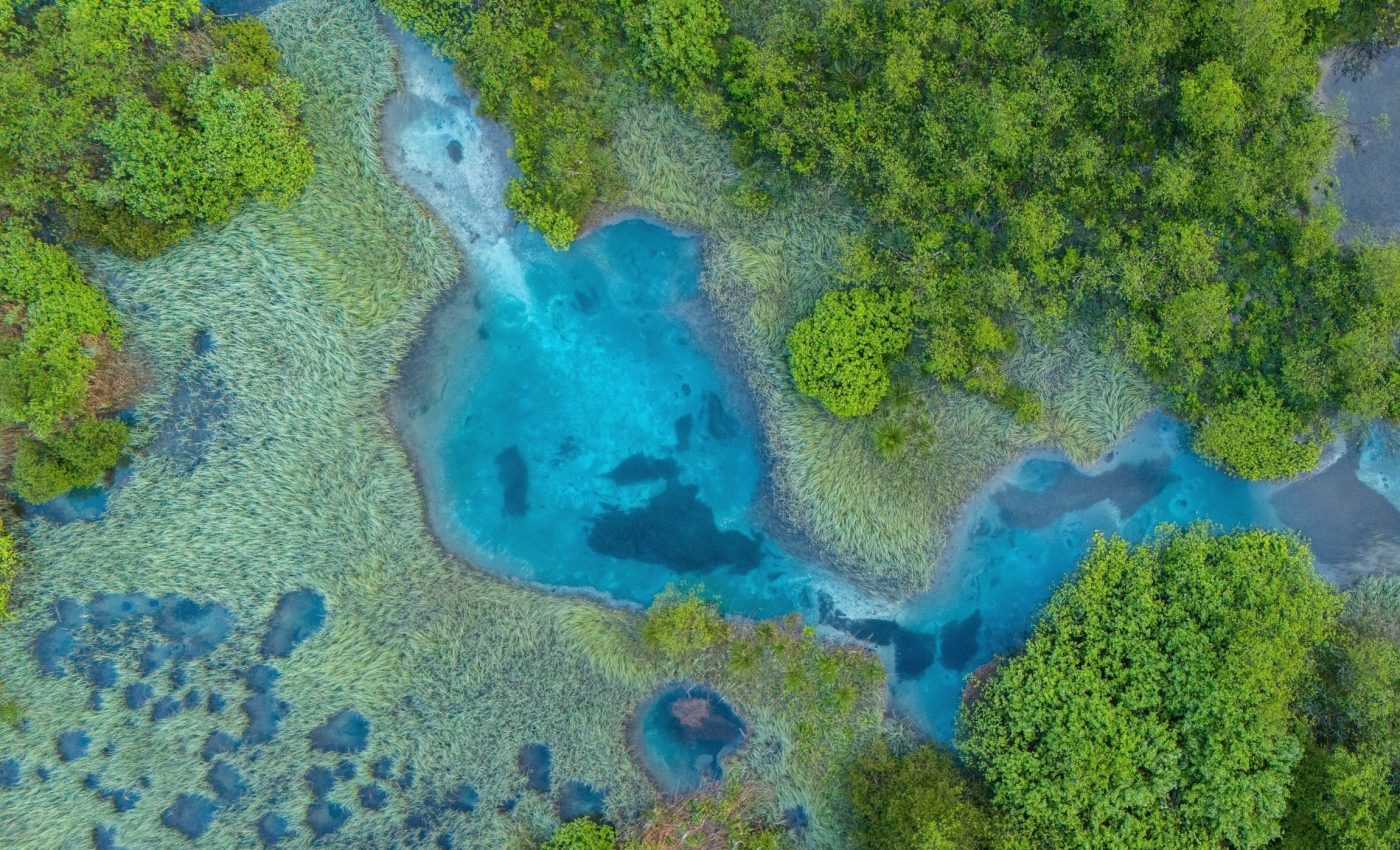 Earth’s future carbon sink is weaker than climate models assume