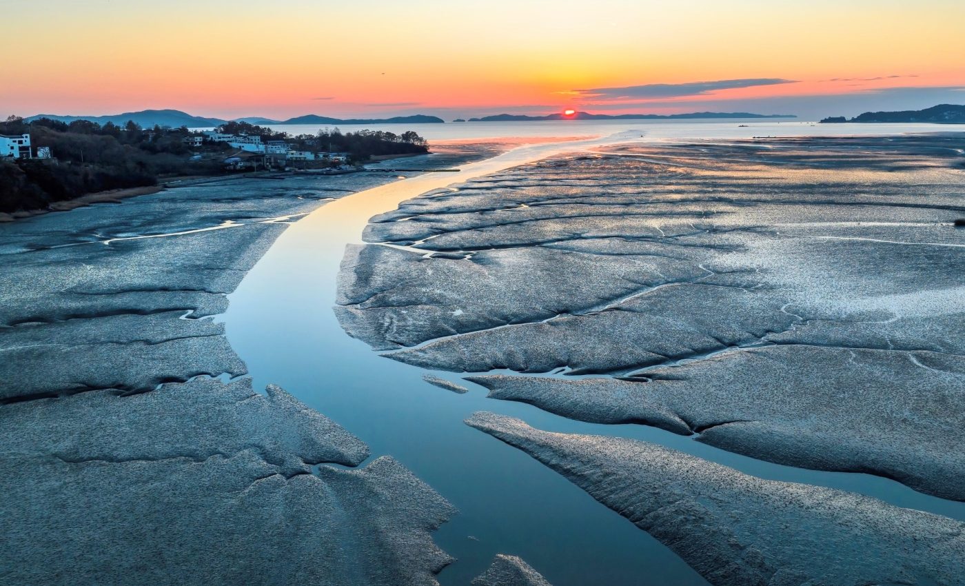 Coastal restoration may get a boost from biodegradable concrete