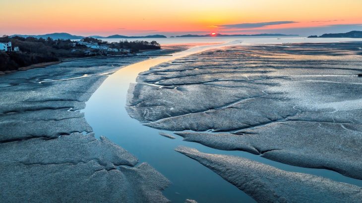 Coastal restoration may get a boost from biodegradable concrete