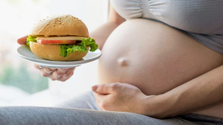 Smell of fatty food during pregnancy may prime children for obesity