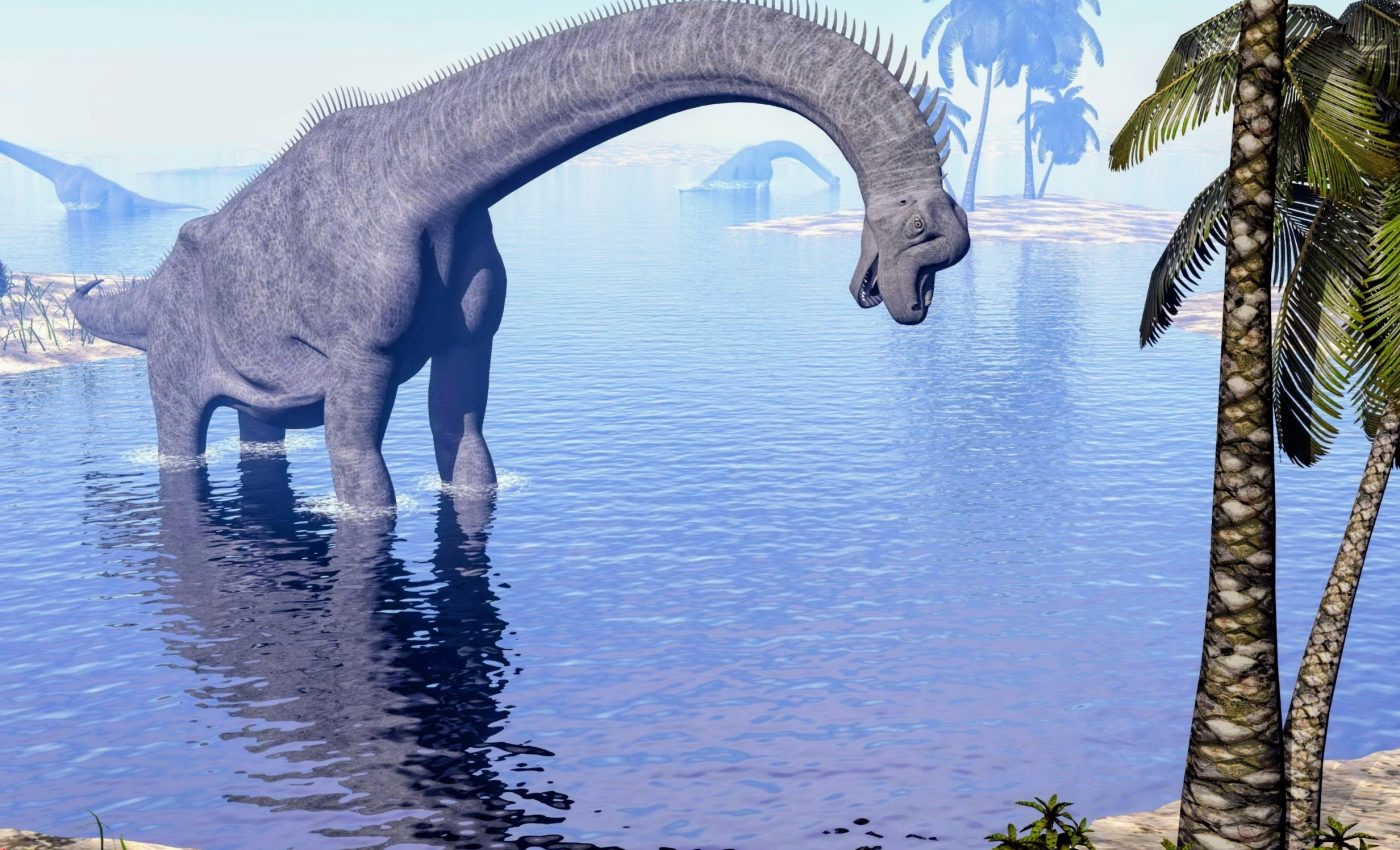 Dinosaur families left their babies to fend for themselves