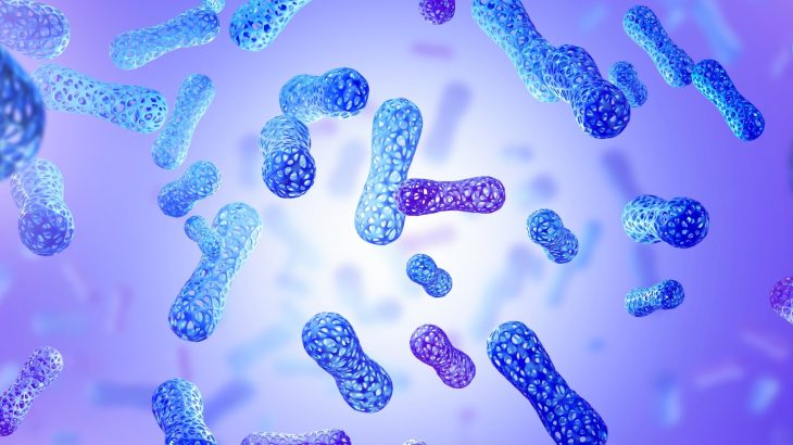 It's all in the gut: Why healthy foods work better for some people