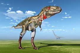2025/12/Nanotyrannus-dinosaur_not-baby-t-rex_1m.jpg