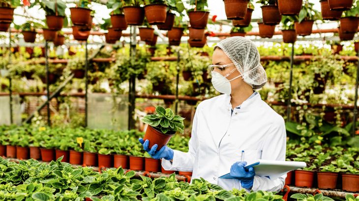 Plants use melatonin as a secret weapon - and it's not for sleep