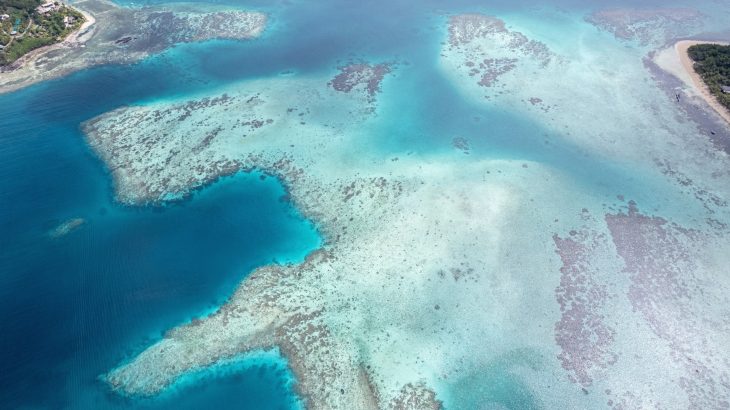 Coral reefs are much more resilient when they're connected