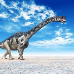 2025/12/dinosaur_sauropod_Athenar-bermani_1m.jpg
