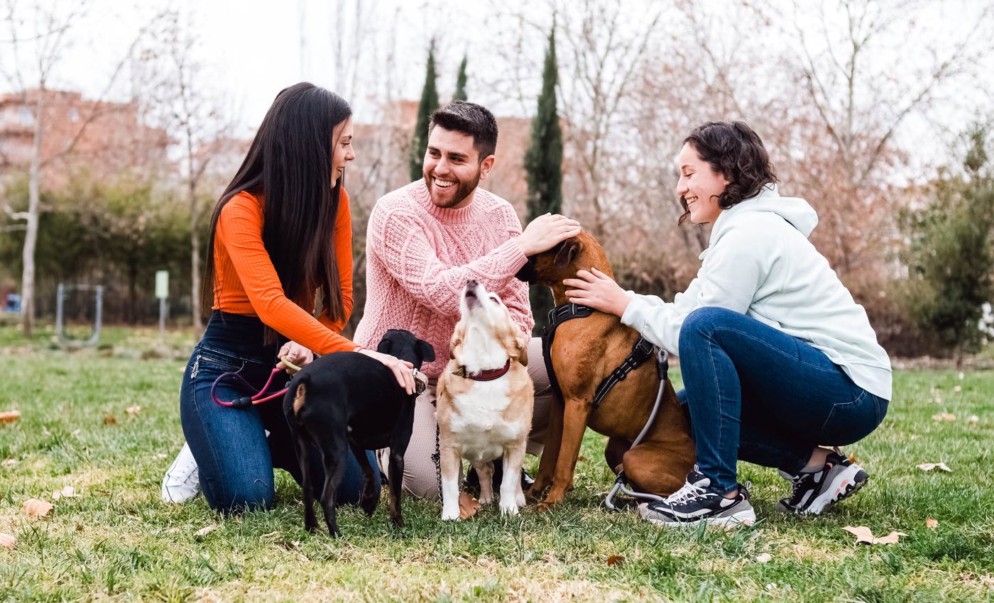 Dog owners feel more connected to their neighborhoods