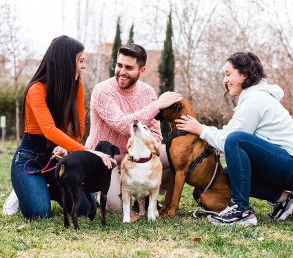 Group,Of,Friends,Meet,In,The,Park,With,Their,Dogs.