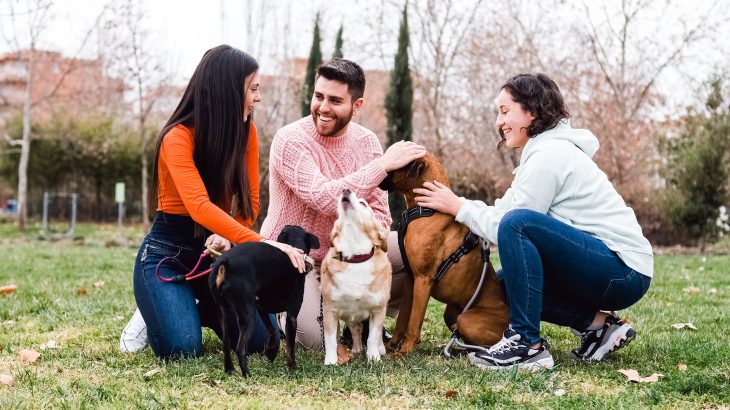 Dog owners feel more connected to their neighborhoods