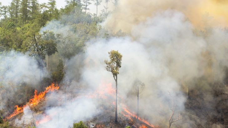 Hypertropics: The Amazon is crossing into a dangerous climate state