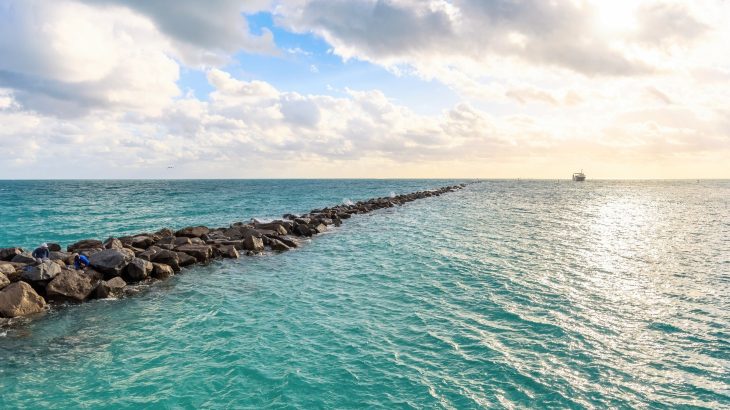 Ocean microbes find ways to survive nutrient scarcity