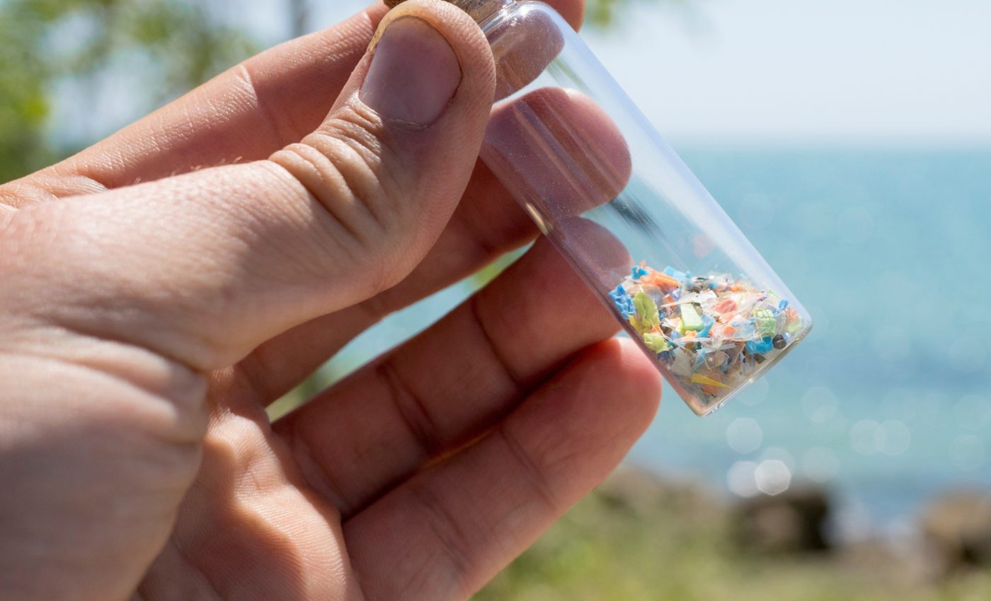 Plastic pollution has reached one of Earth’s most isolated insects