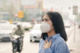 2025/12/Polluted-air-immune.jpg