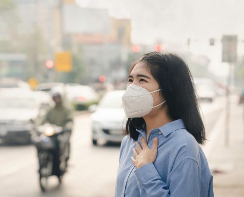 2025/12/Polluted-air-immune.jpg