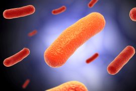 2025/12/Microbes-health.jpg