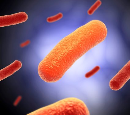 2025/12/Microbes-health.jpg
