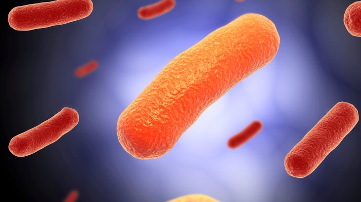 Microbes long seen as threats may actually help our health