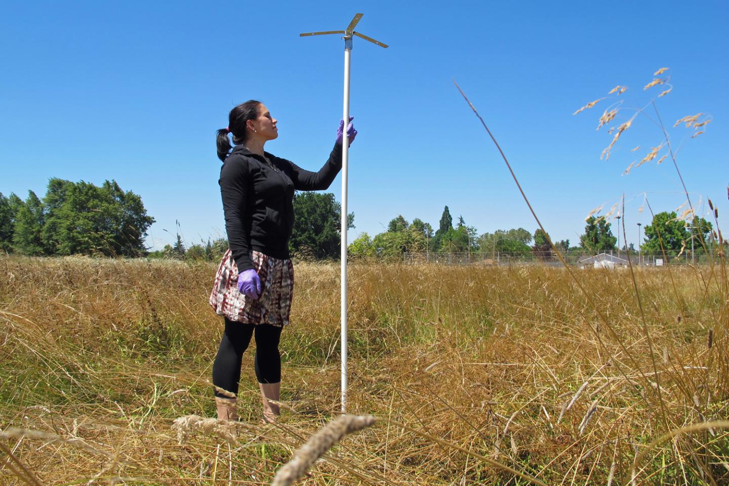 Airborne bacterial communities differ from one urban park to the next