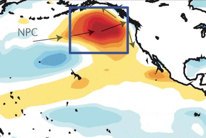 El Nino and climate change played a key role in Pacific Marine Heatwave