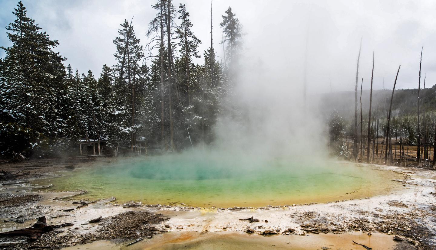 Unique alien microbes found living in Yellowstone National Park