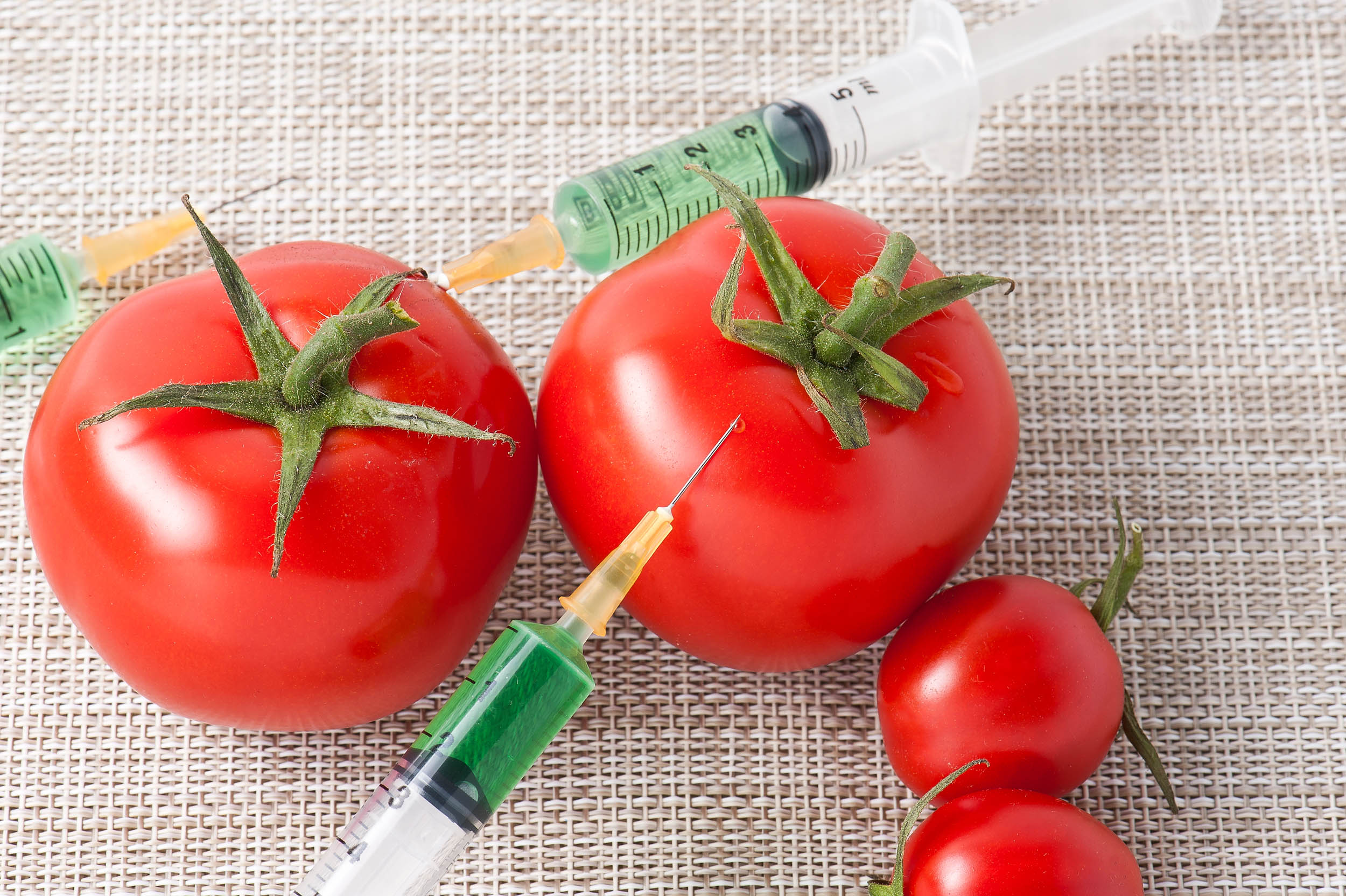 The enviromental impact of genetically modified crops