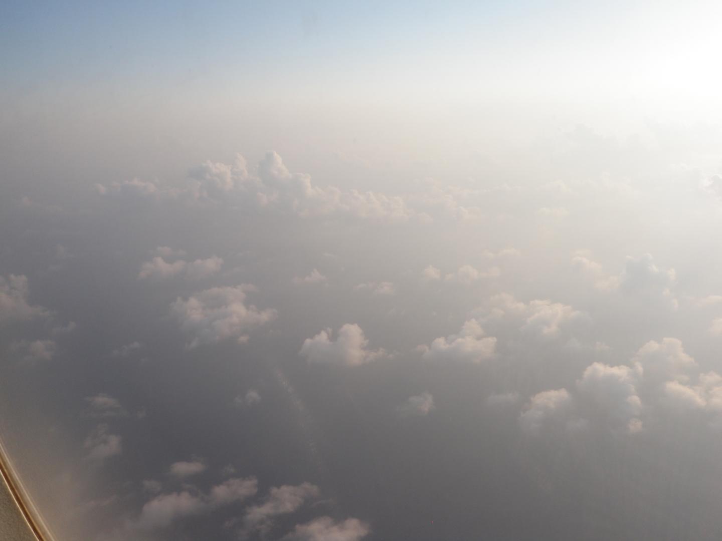 Black carbon aerosols enhance humidity near the Earth's surface