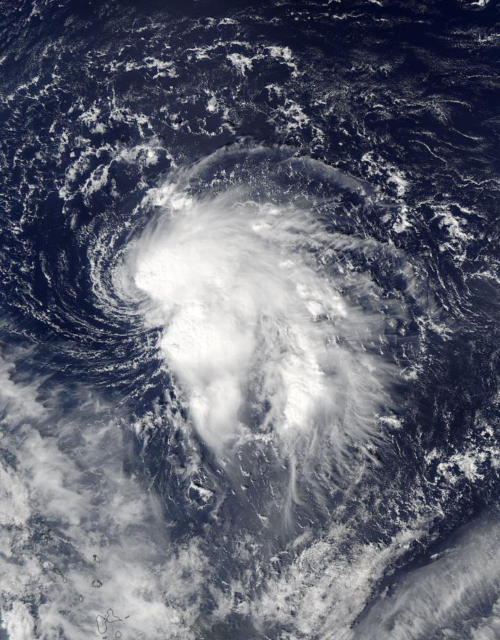 Tropical Storm Nicole seen holding fast in the Atlantic