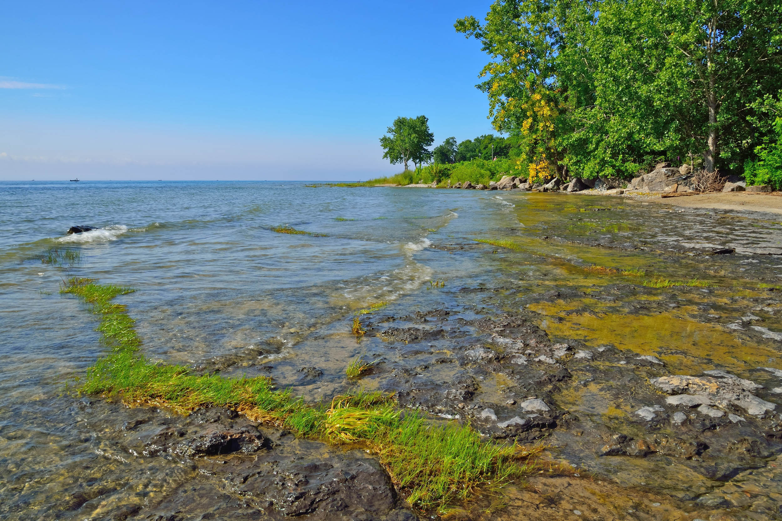 Protecting Lake Erie from agricultural runoff