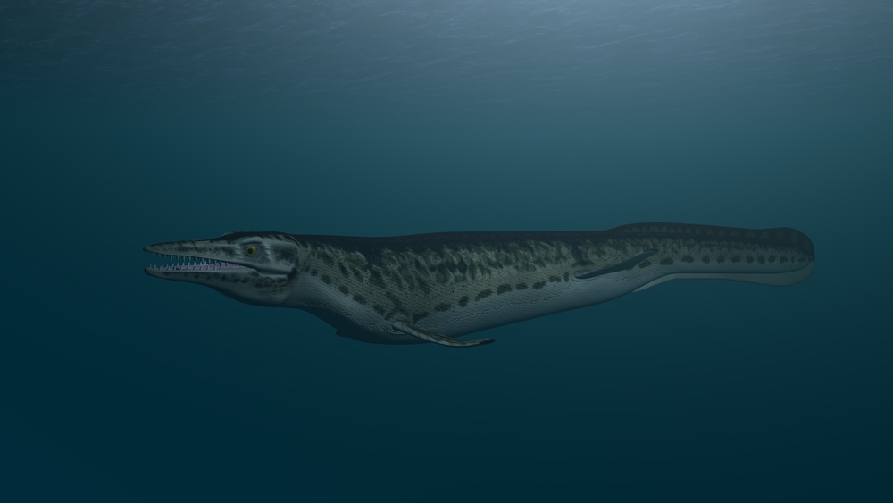 Prehistoric Mosasaur fossil found, tells story of gigantic sea menace