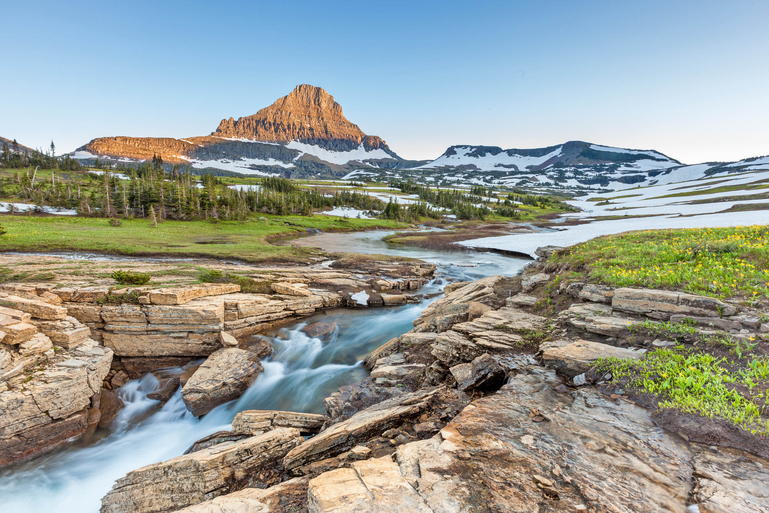Alpine insects are harbingers of climate change, scientists say