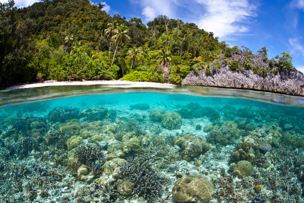 Biodiversity variables can help slow species loss