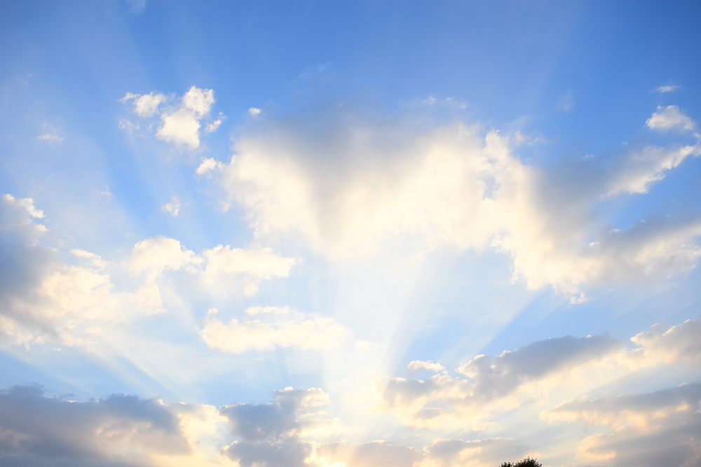 Scientists seek to solve mystery of Cambrian oxygen spike