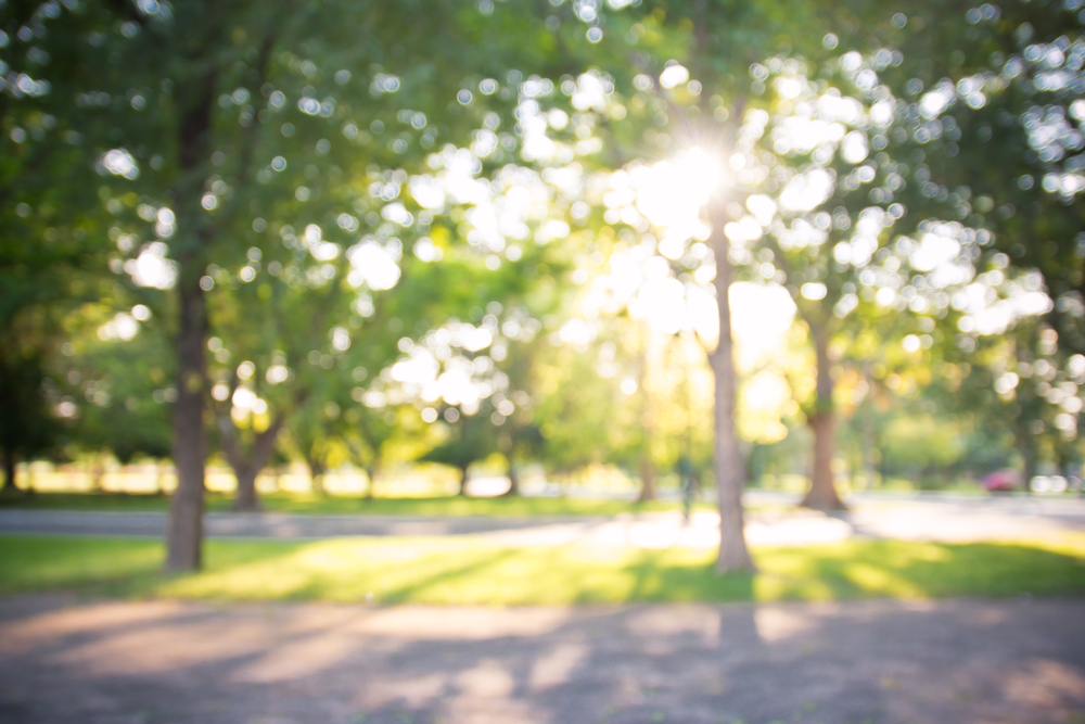 Get out the umbrella: study suggests fewer perfect weather days