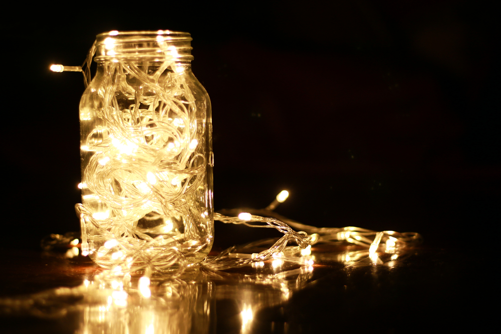 Scientists explore effect of LED lighting on wildlife