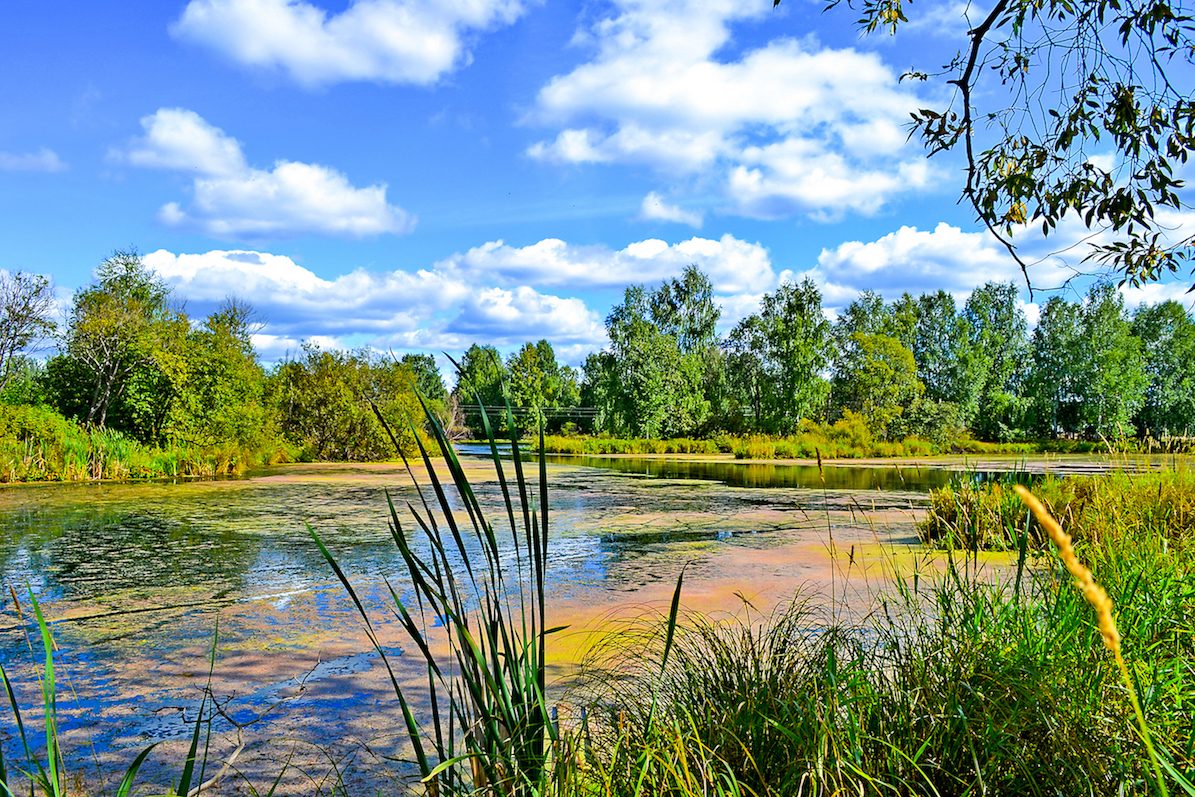 New study shows climate change is now messing with our ponds!