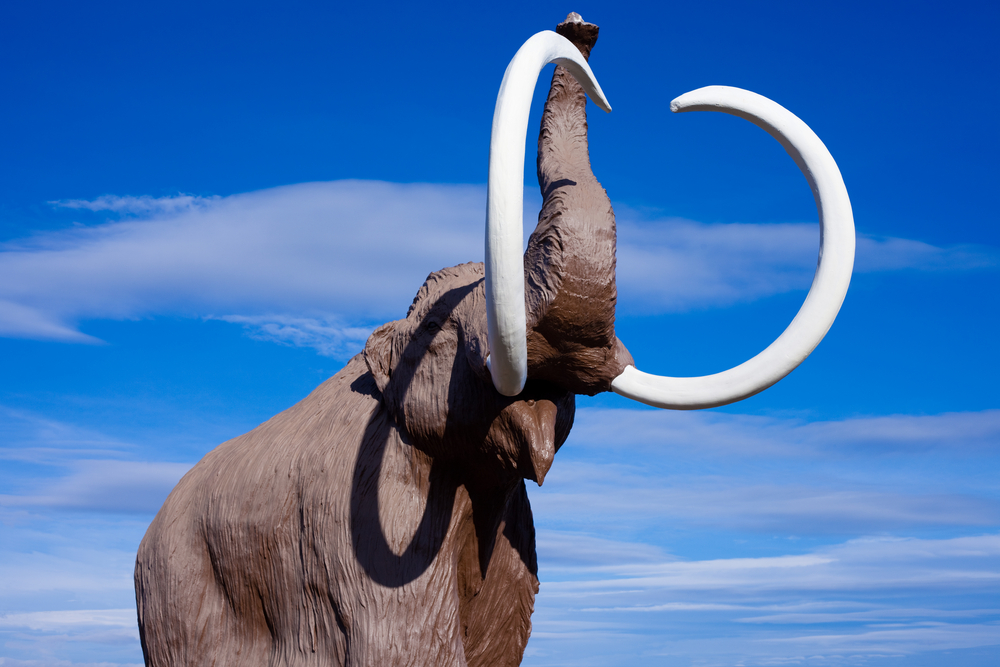 Could scientists bring woolly mammoths back from extinction?