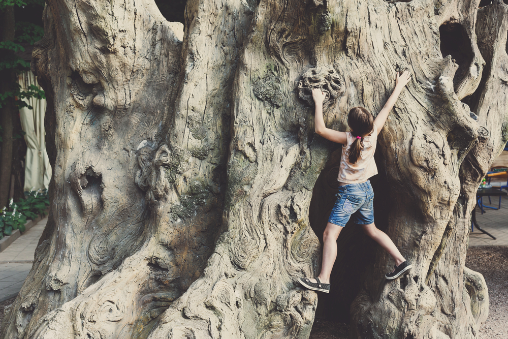 Human ancestors may have stayed in the trees longer than we thought